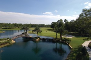 Eagle Landing Golf Homes