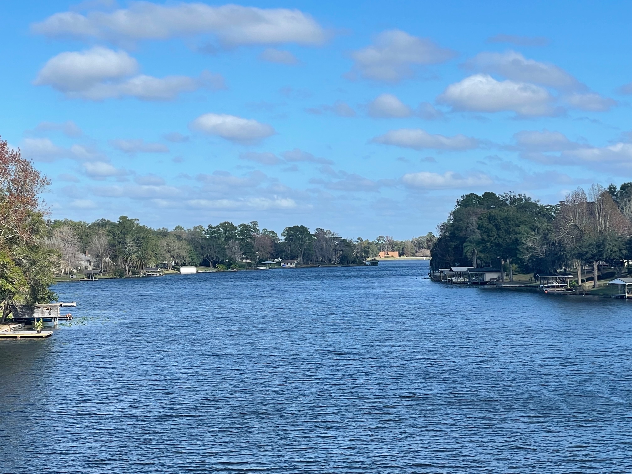 Looking for Lake Asbury Homes for Sale?
