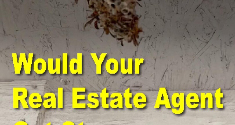 Would your listing agent get stung for you?