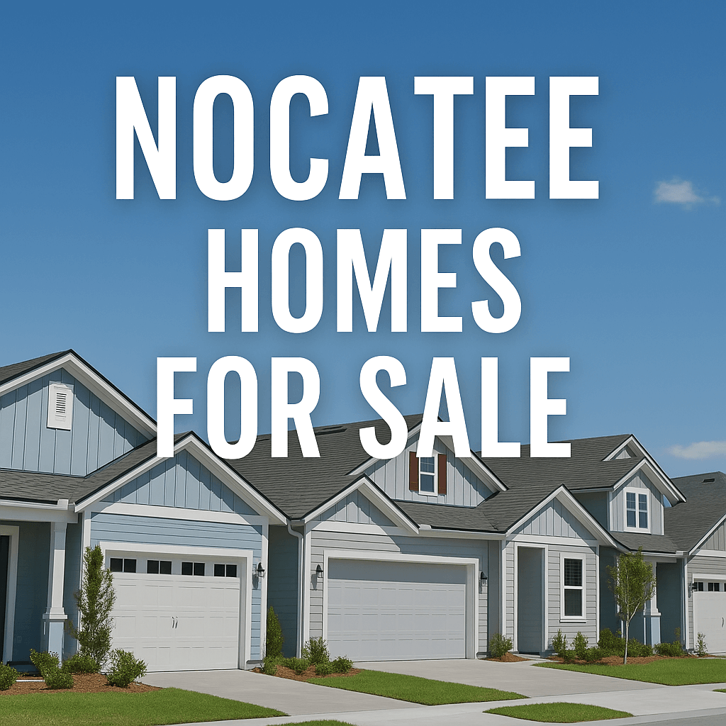 Nocatee Homes for Sale